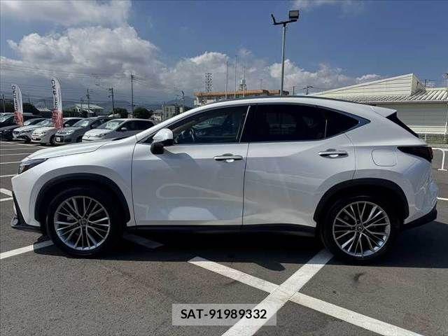 Lexus NX 2023-12 8627491-11