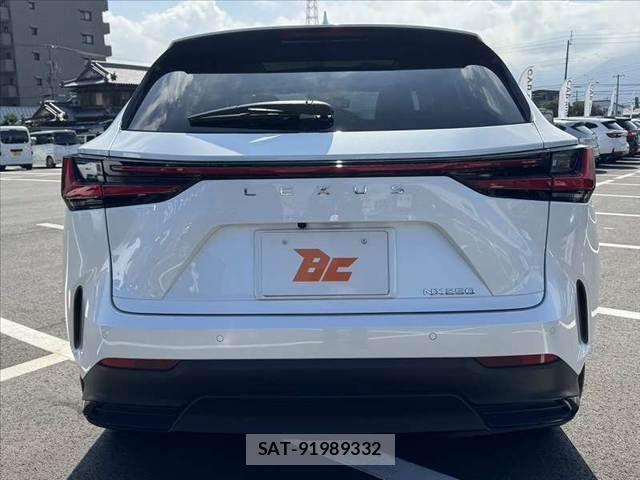 Lexus NX 2023-12 8627491-13