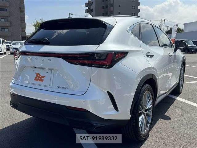Lexus NX 2023-12 8627491-14