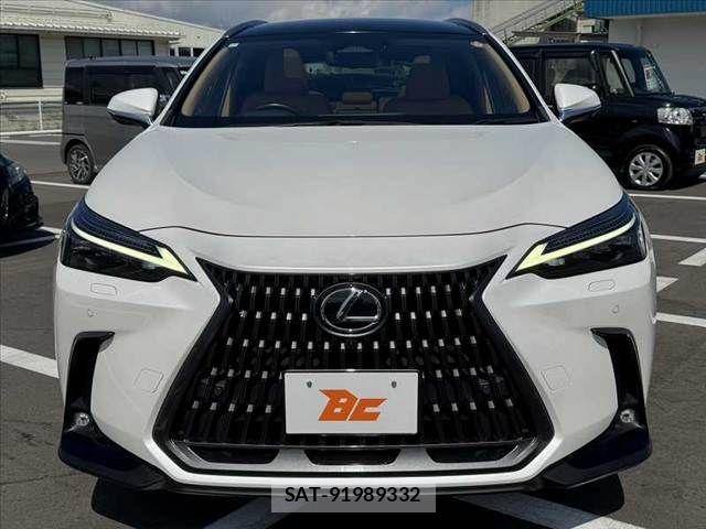 Lexus NX 2023-12 8627491-8