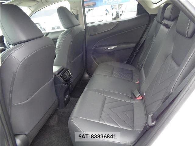 Lexus NX 2024-05 8659938-10