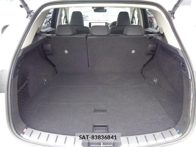 Lexus NX 2024-05 8659938-14
