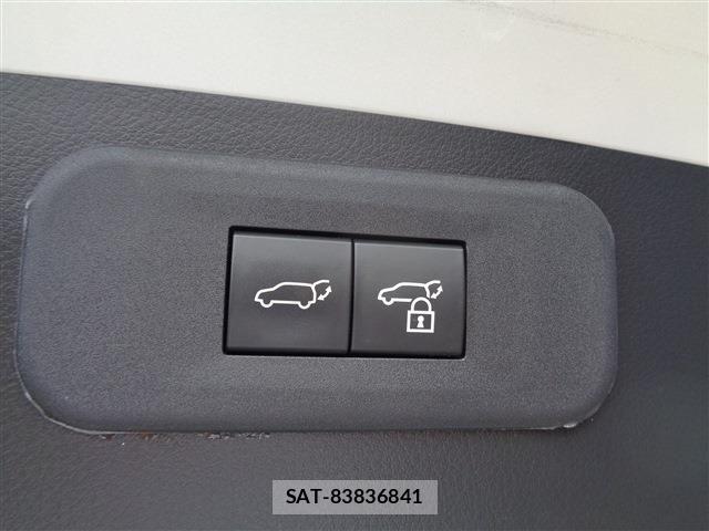 Lexus NX 2024-05 8659938-16