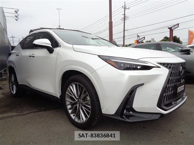 Lexus NX 2024-05 8659938-2