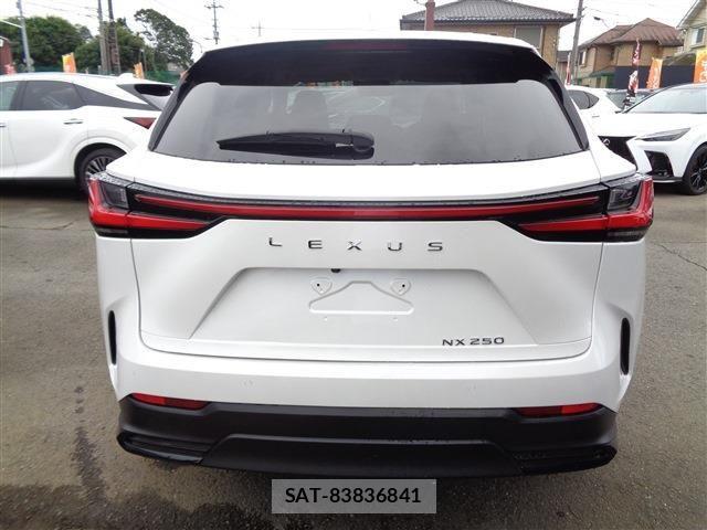Lexus NX 2024-05 8659938-6
