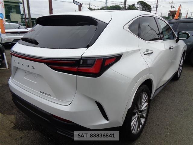 Lexus NX 2024-05 8659938-7