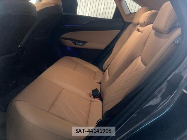 Lexus NX 2023-10 8780859-11