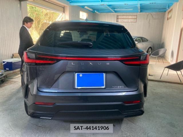 Lexus NX 2023-10 8780859-3