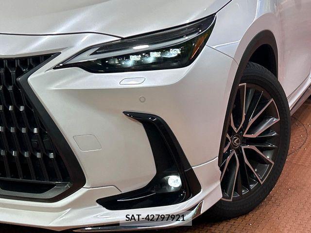 Lexus NX 2023-10 8796488-11