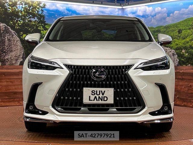 Lexus NX 2023-10 8796488-13