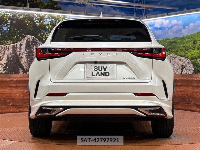 Lexus NX 2023-10 8796488-14