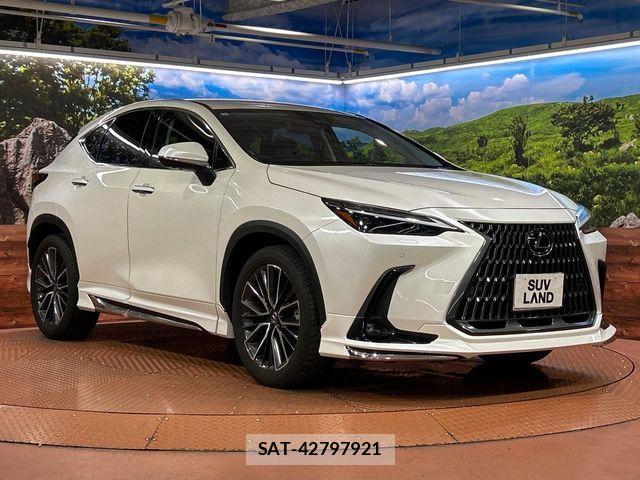 Lexus NX 2023-10 8796488-15