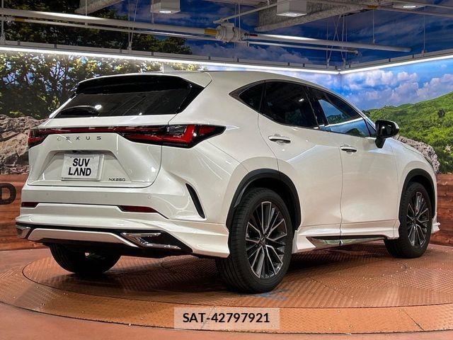 Lexus NX 2023-10 8796488-16