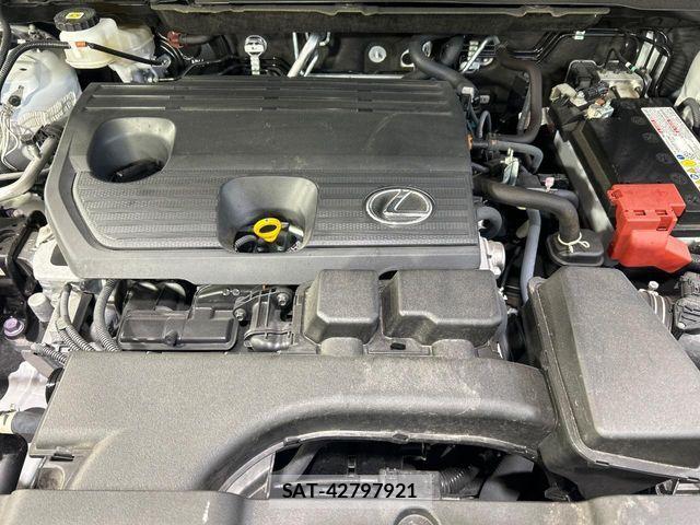 Lexus NX 2023-10 8796488-17