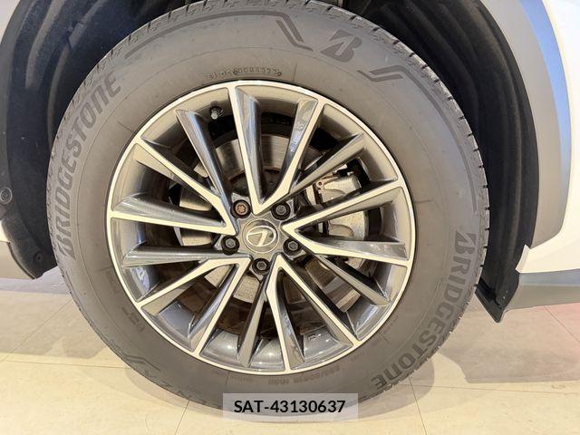 Lexus NX 2023-11 8880527-24