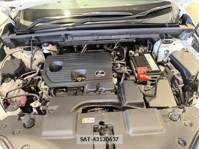 Lexus NX 2023-11 8880527-25