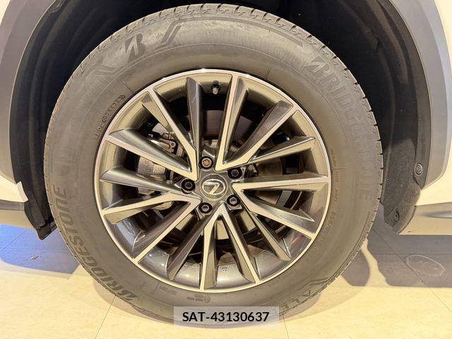 Lexus NX 2023-11 8880527-27