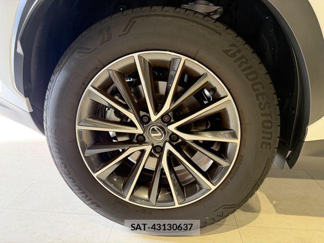 Lexus NX 2023-11 8880527-28