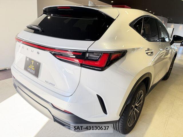 Lexus NX 2023-11 8880527-4