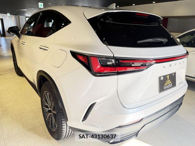 Lexus NX 2023-11 8880527-5