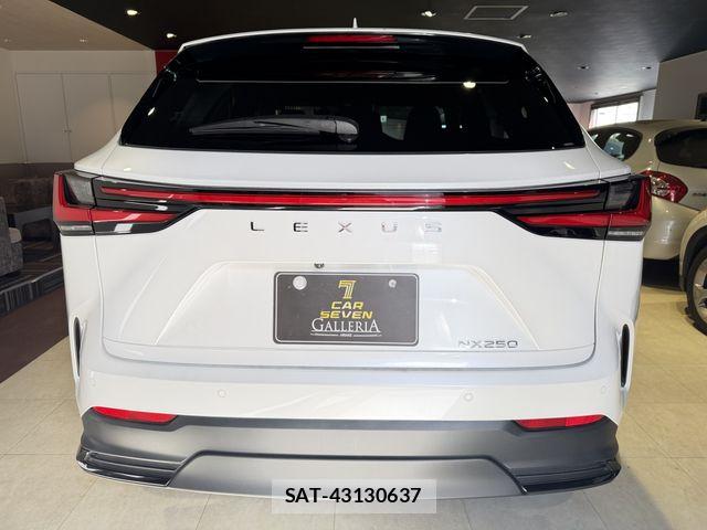 Lexus NX 2023-11 8880527-6