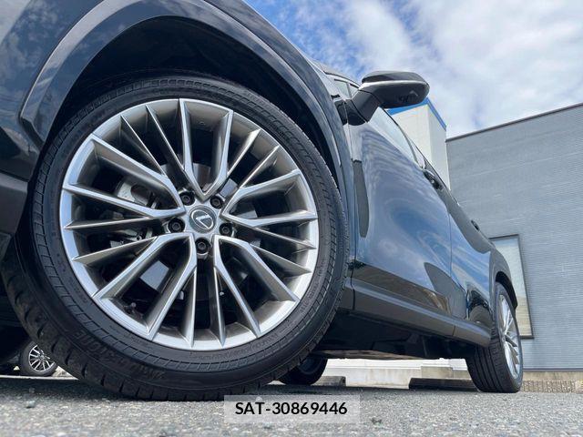 Lexus NX 2024-09 8883851-13