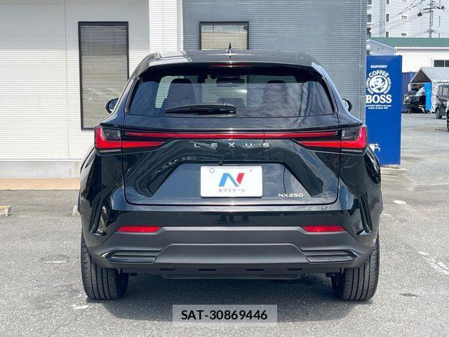 Lexus NX 2024-09 8883851-15