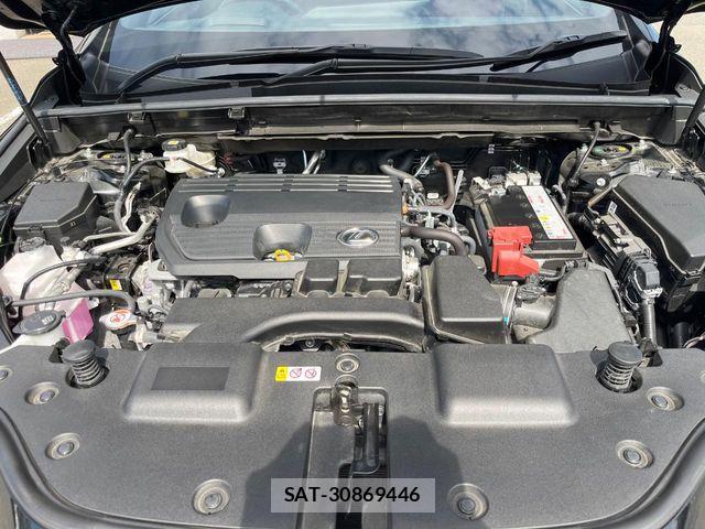 Lexus NX 2024-09 8883851-17