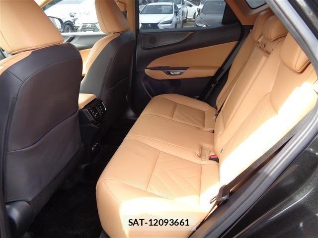 Lexus NX 2022-07 4595548-11