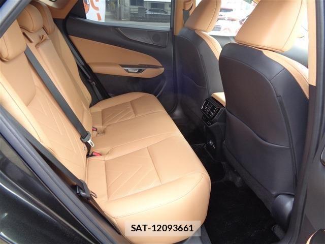 Lexus NX 2022-07 4595548-18