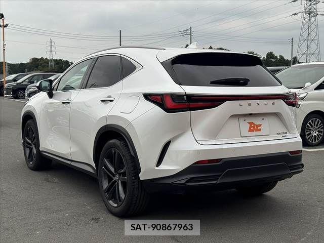 Lexus NX 2023-11 8666411-12