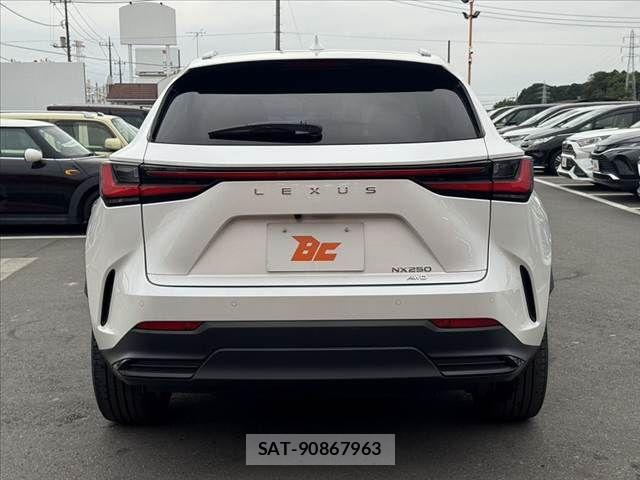 Lexus NX 2023-11 8666411-13