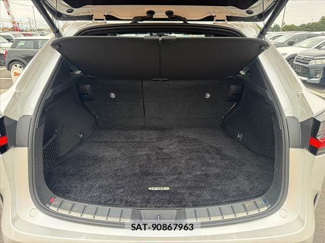 Lexus NX 2023-11 8666411-18