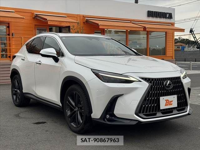 Lexus NX 2023-11 8666411-7