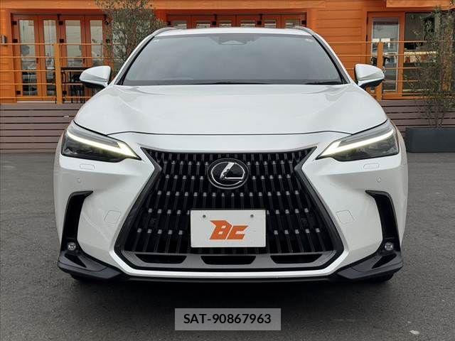 Lexus NX 2023-11 8666411-8