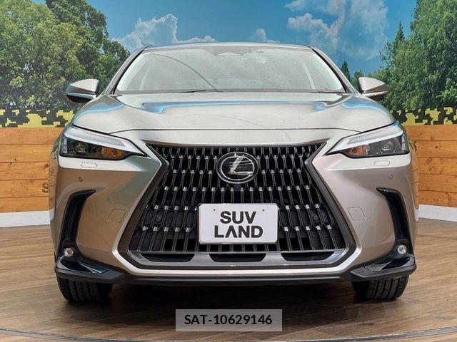 Lexus NX 2023-04 8880526-13