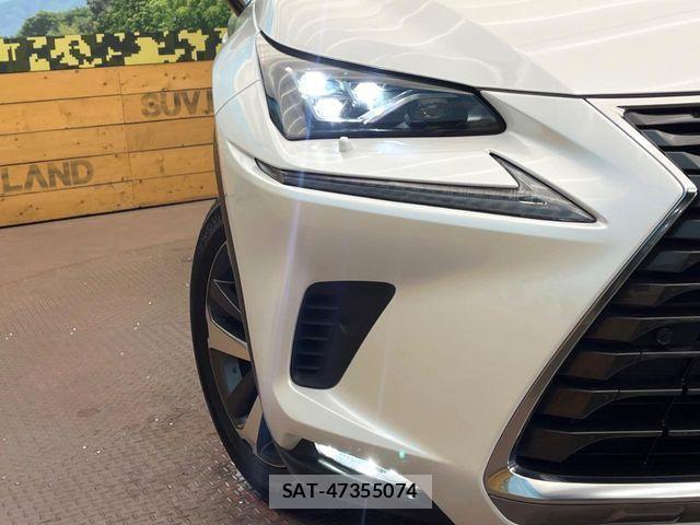 Lexus NX 2018-07 1003703-11