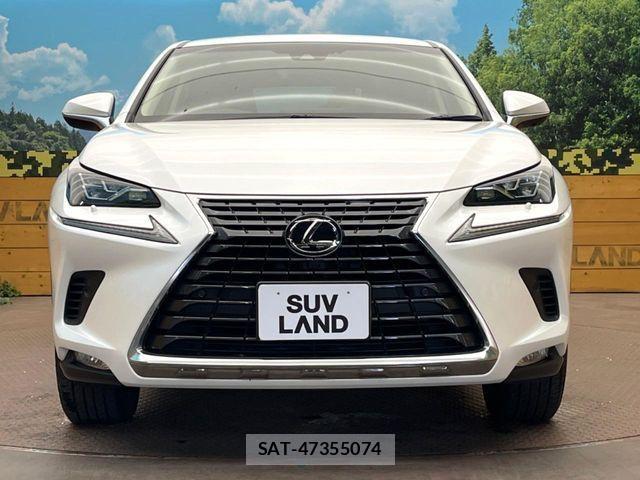 Lexus NX 2018-07 1003703-13