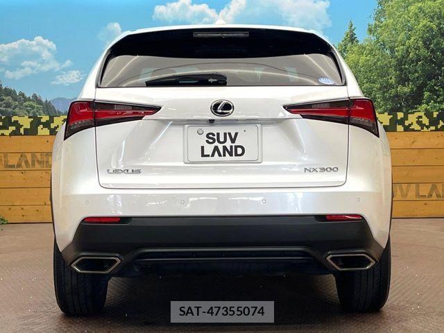 Lexus NX 2018-07 1003703-14