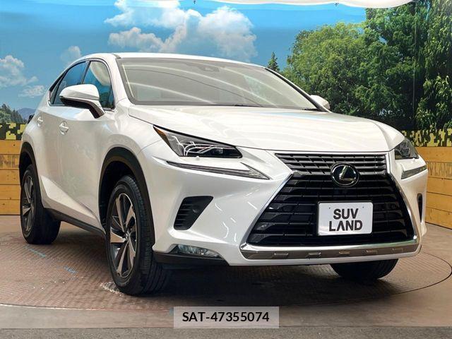 Lexus NX 2018-07 1003703-15