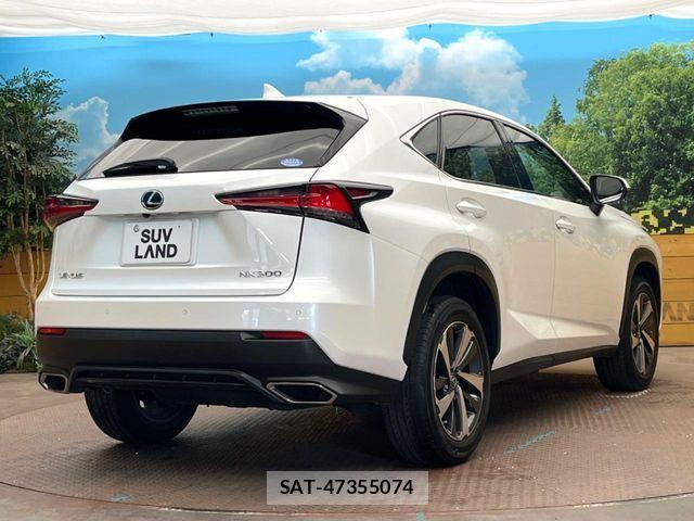Lexus NX 2018-07 1003703-16