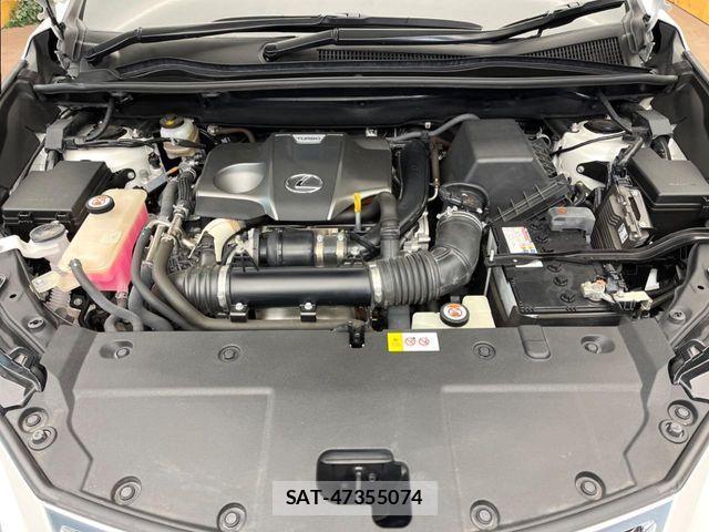 Lexus NX 2018-07 1003703-17