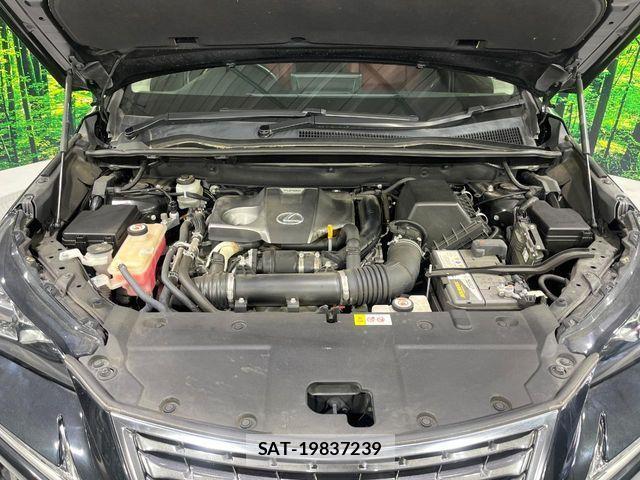 Lexus NX 2017-11 1416881-17