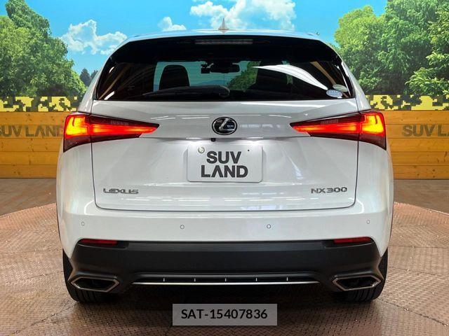 Lexus NX 2017-11 1609741-14
