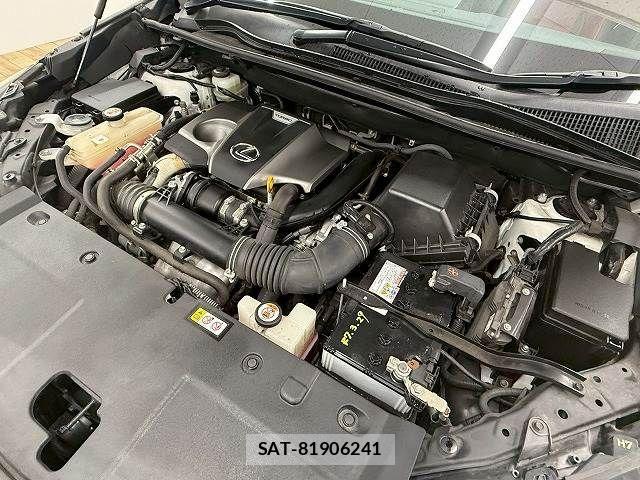 Lexus NX 2020-10 2081910-17