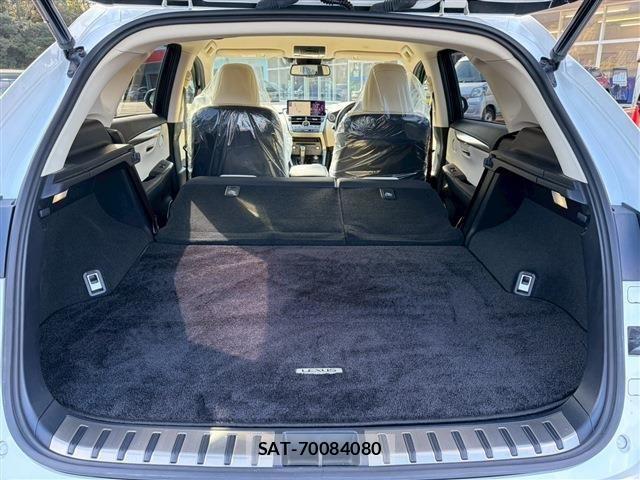 Lexus NX 2020-05 2081925-21