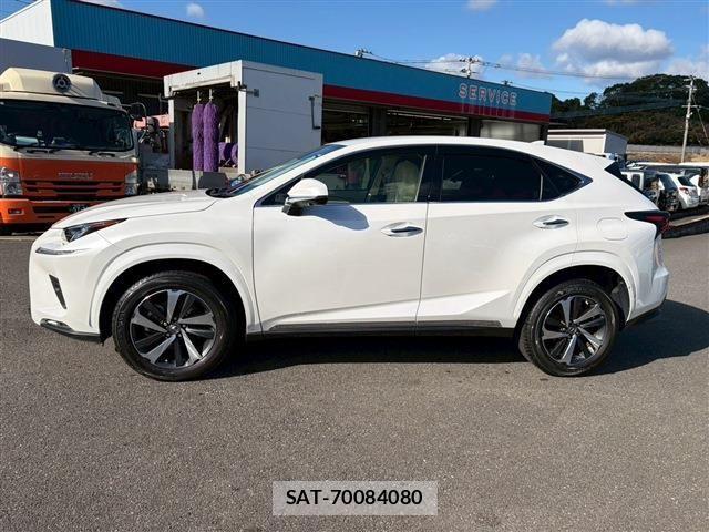 Lexus NX 2020-05 2081925-7