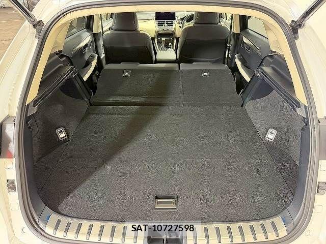 Lexus NX 2019-04 2210895-12