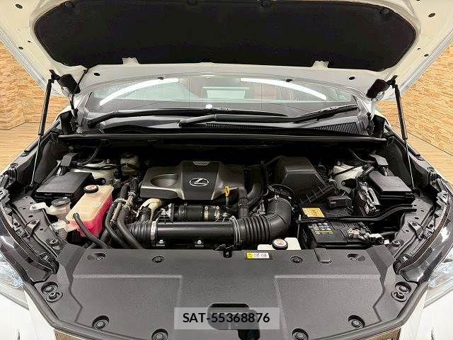 Lexus NX 2019-11 2486762-17