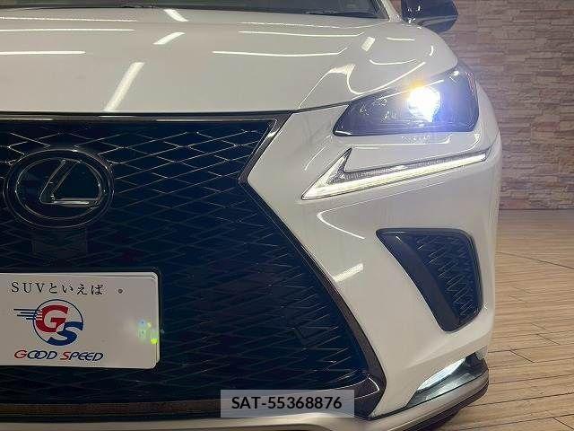 Lexus NX 2019-11 2486762-19